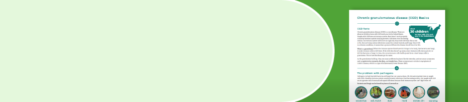 background image light green